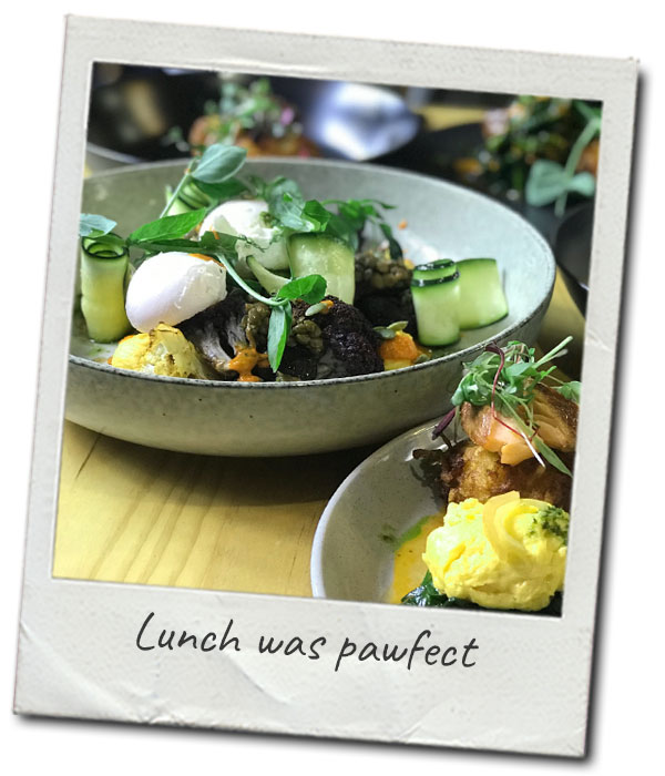 wine-tour-lunch