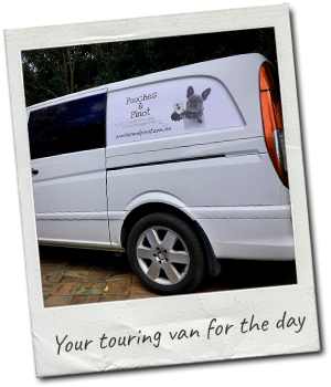 private-touring-van