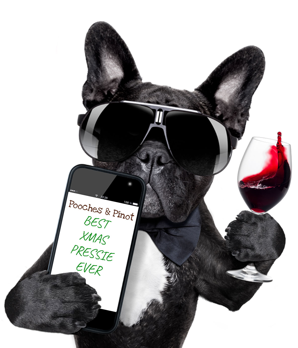 dog-gift-voucher-christmas