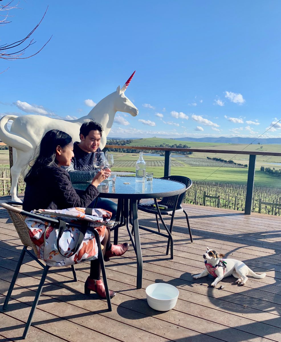 pooches & Pinot dog friendly yarra valley wine tasting tour 