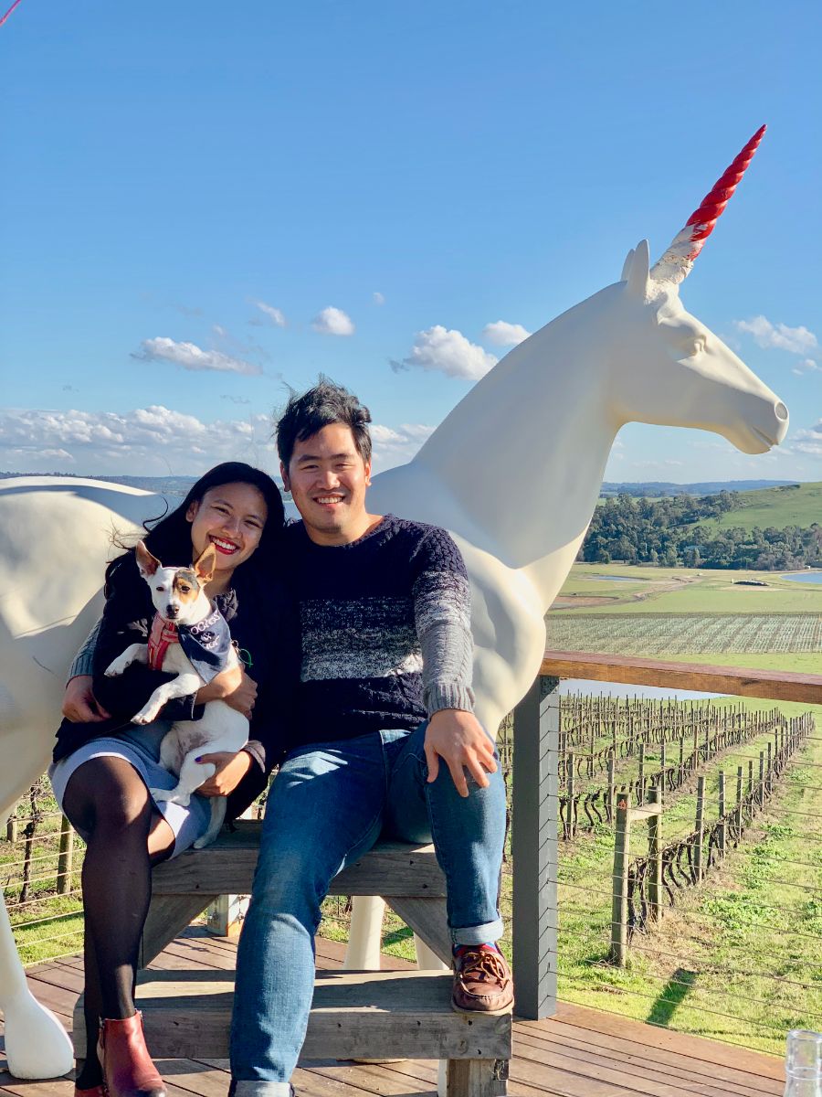 pooches & Pinot dog friendly yarra valley wine tasting tour