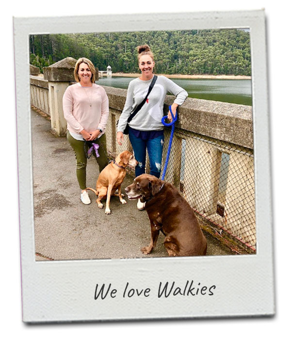 walking-with-dogs