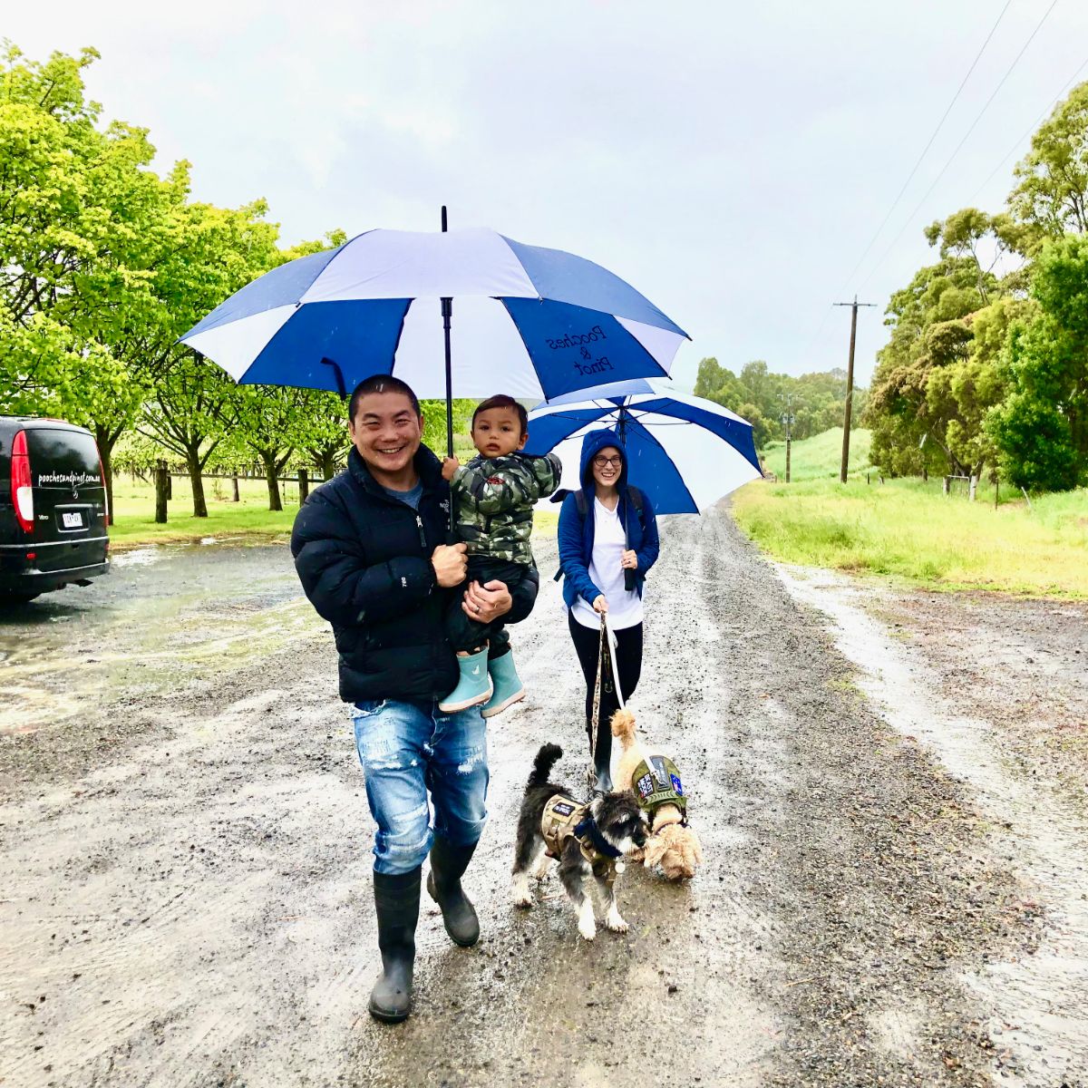 dogs on wine tour in rain
