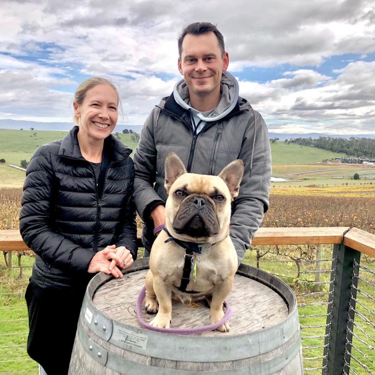 dog on a wine barrel on a Pooches & Pinot wine tour