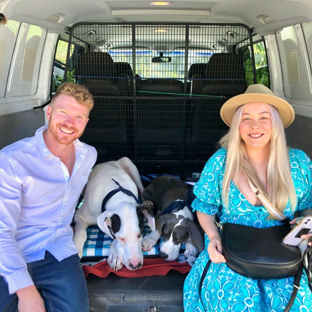 two large dogs on dog friendly private Yarra Valley wine tour