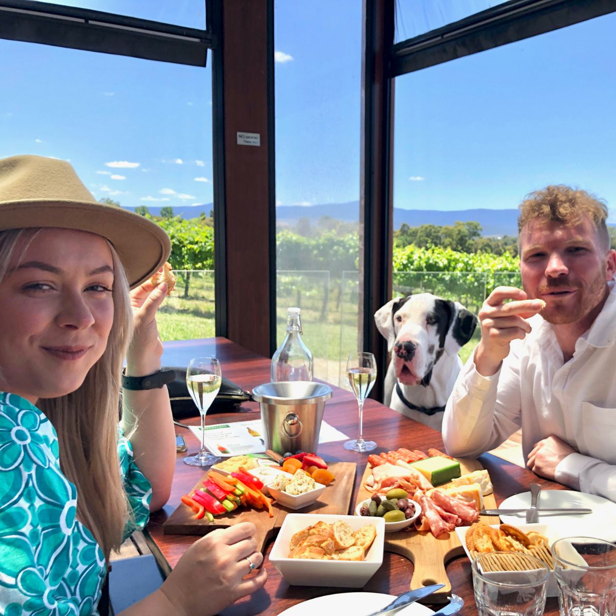 lunch at a winery on a full day pooches & Pinot wine tour