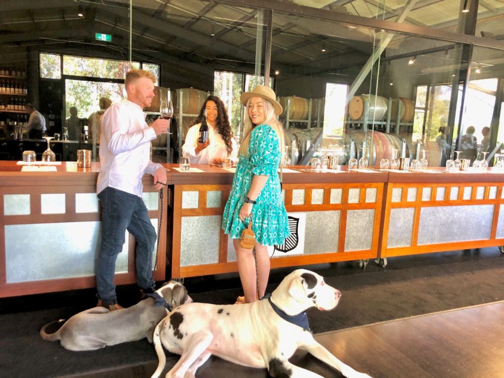 dog friendly wine tasting tour