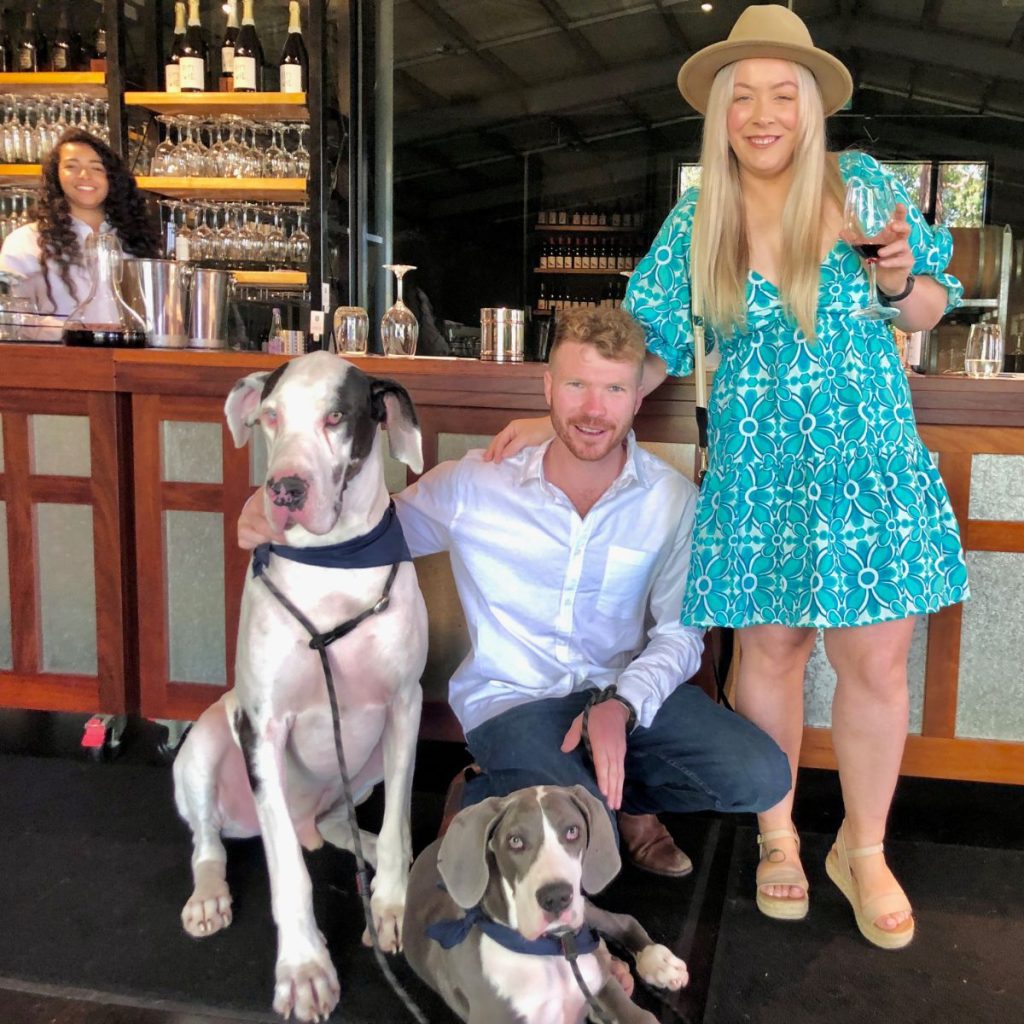 dogs on a wine tour of the Yarra Valley with Pooches & Pinot