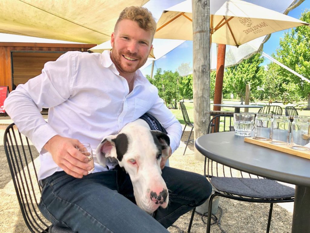 pooches and pinot dog friendly wine tours