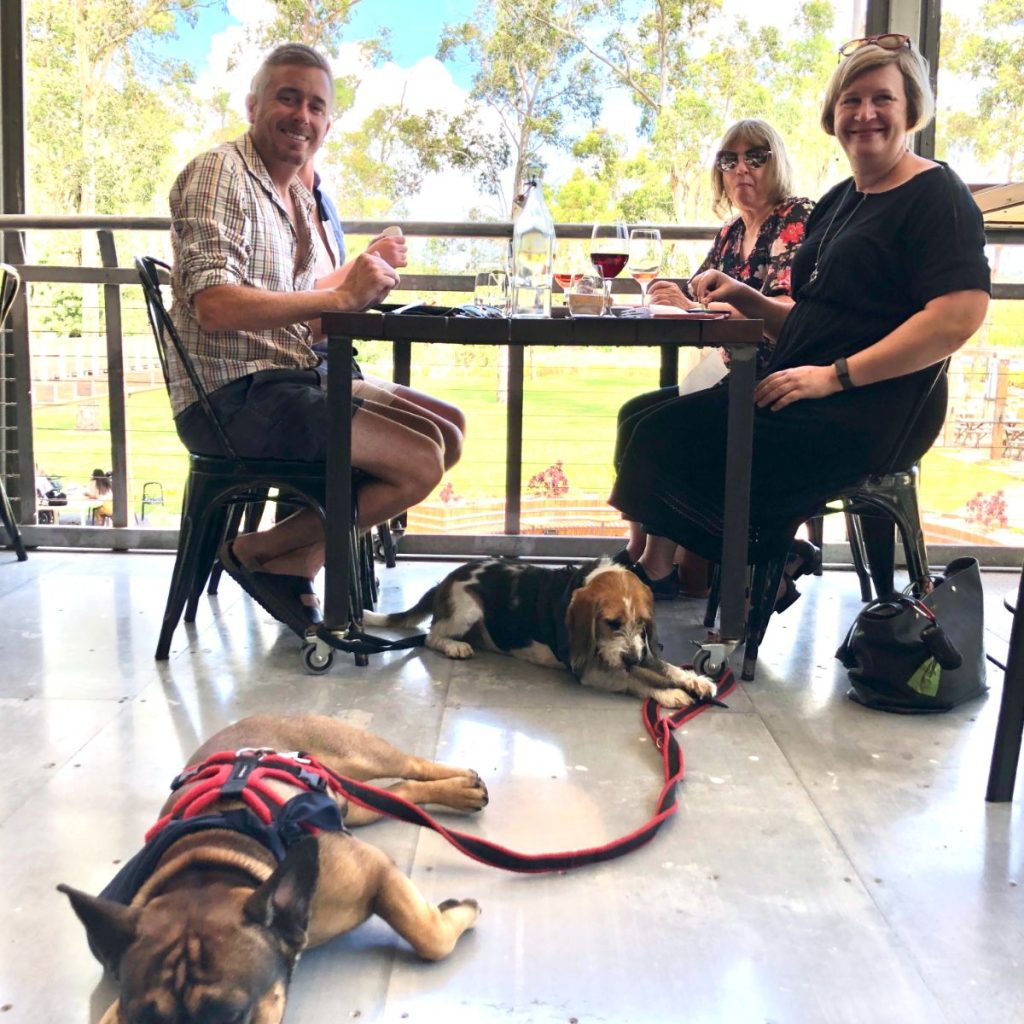 lunch on a dog friendly pooches and pinot wine tour