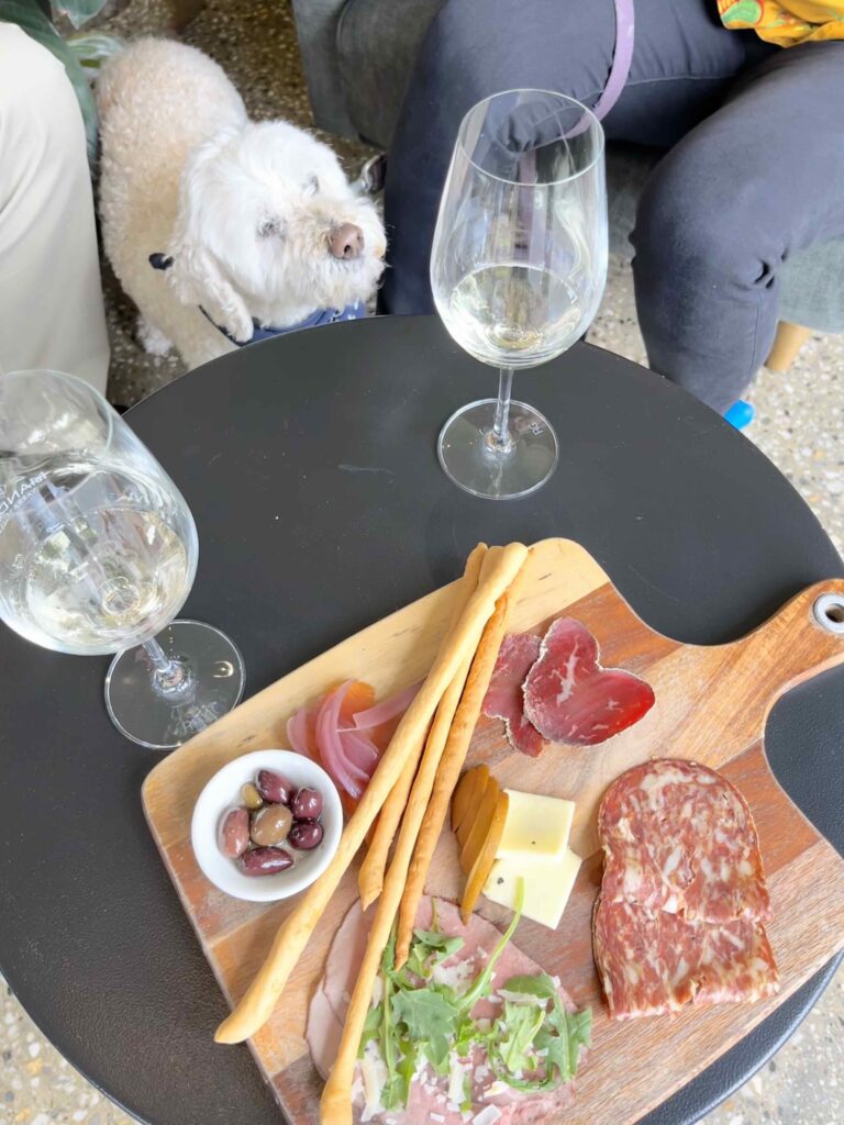 dog and platter at winery